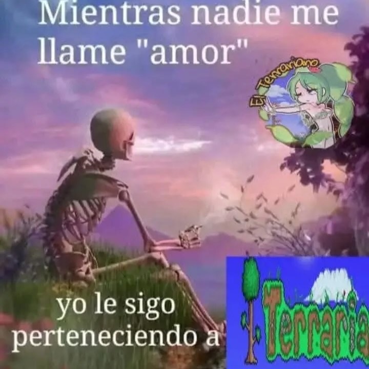 le sigo perteneciendo a la depresión digo.. a terraria - meme