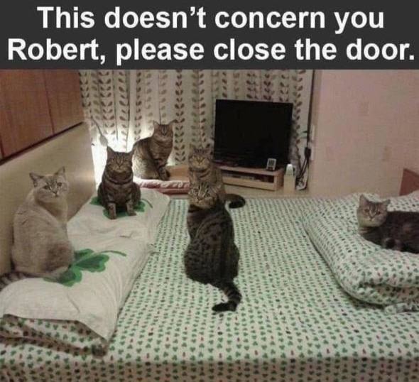 Robert this isn't your business, close the damn door - meme