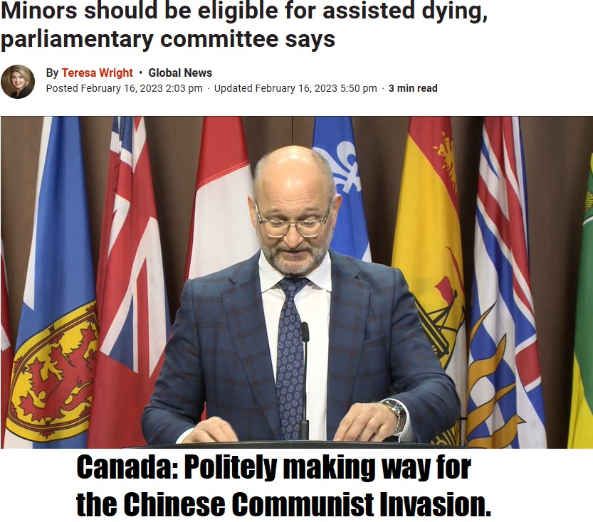 MAID in Canada - meme