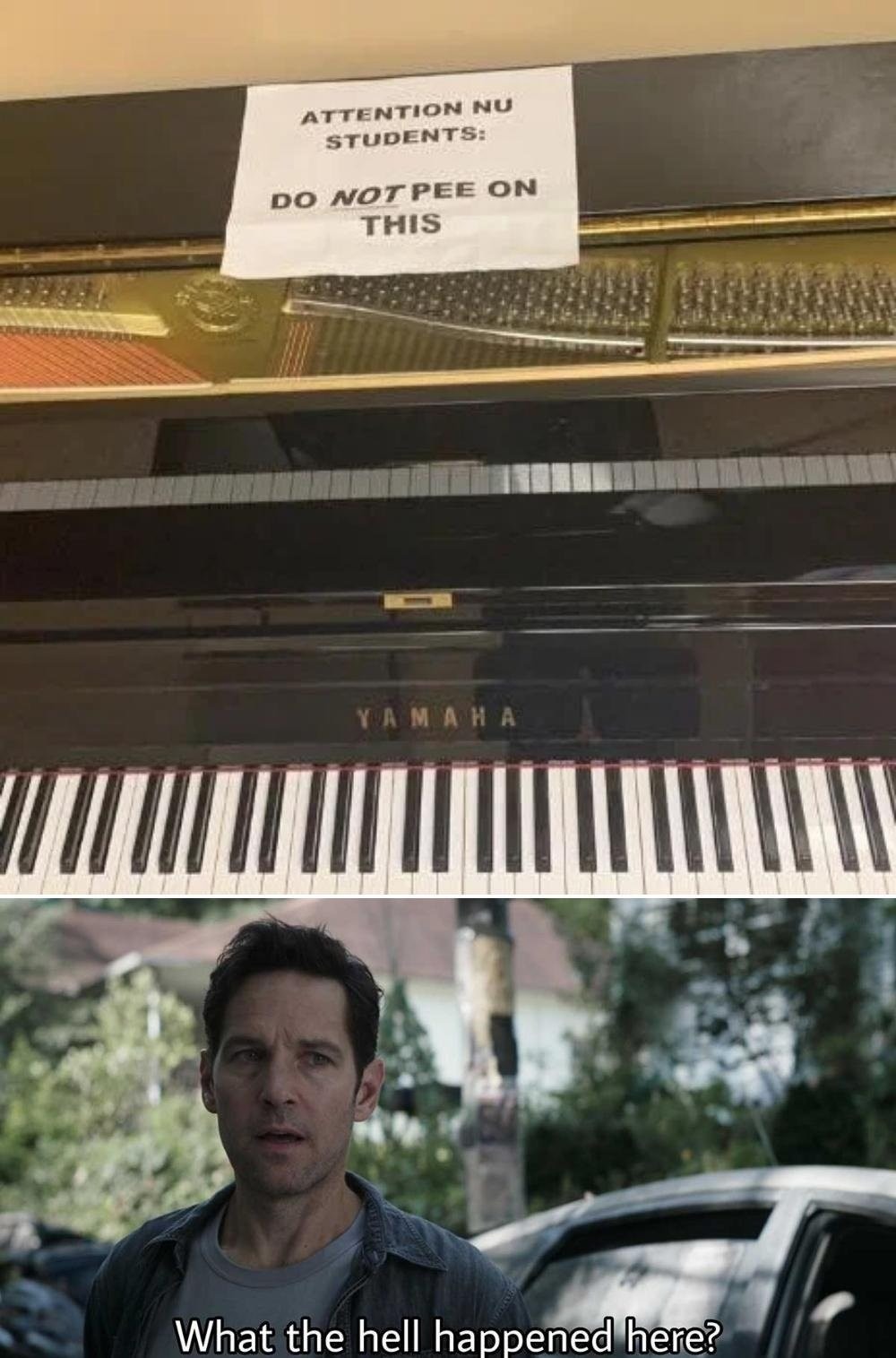 Someone misunderstood the term piano - meme