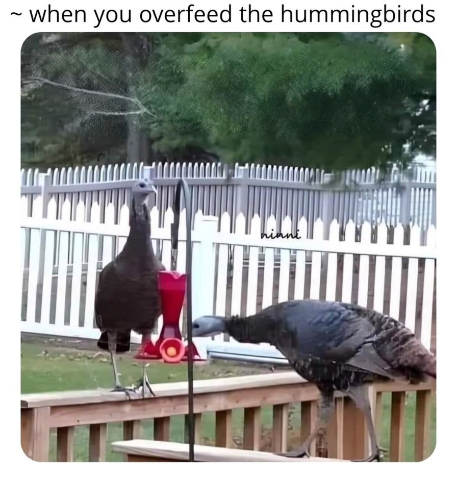 They’re huge - meme