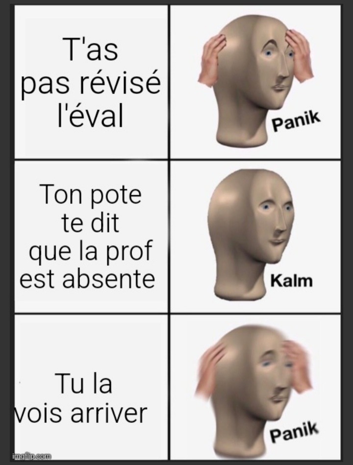 Panik !!!! - meme