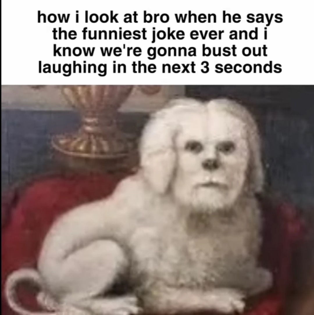 you haz three seconds - meme