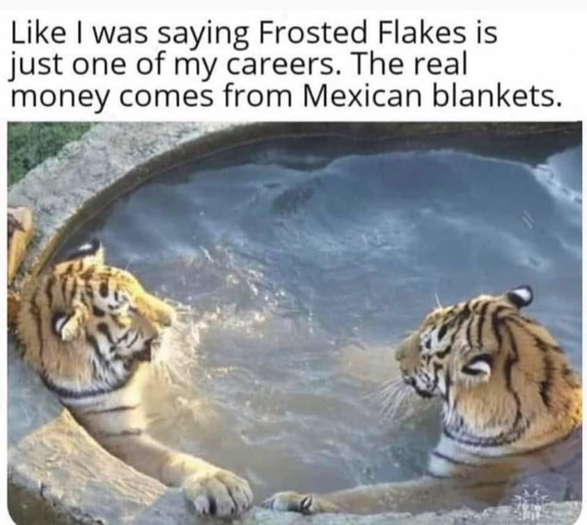 Mexican blankets are Grrrrrrrrr-eat! - meme