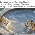 Mexican blankets are Grrrrrrrrr-eat!