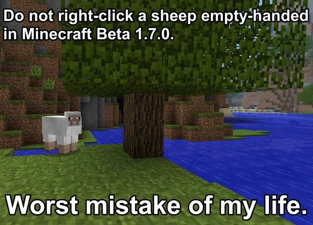 Minecraft meme