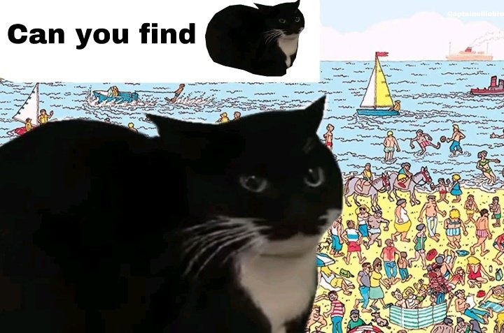 Can you find - meme