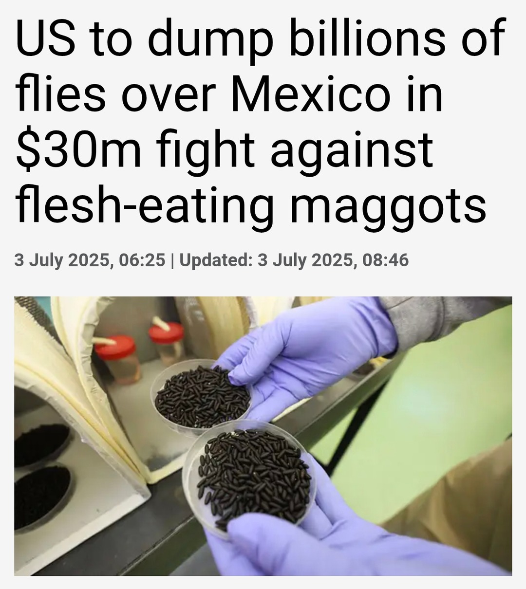 US dropping billions of flies on Mexico to stop maggots - meme