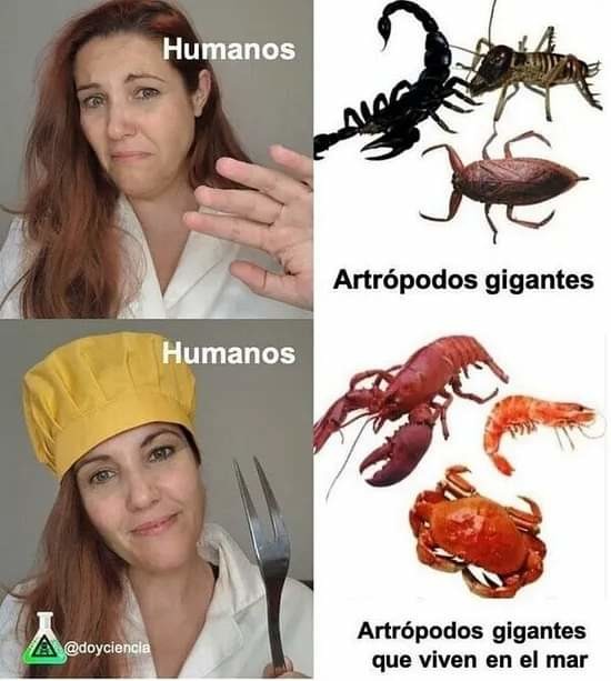 A los humanos del mar les gustan más los artrópodos terrestres - meme