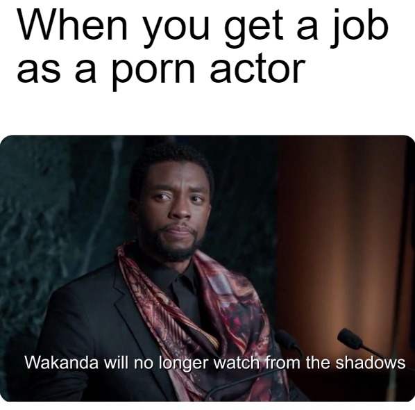 Sometimes I wish I was a porn actor. To clarify, a straight porn actor. Sadly, I am not. - meme