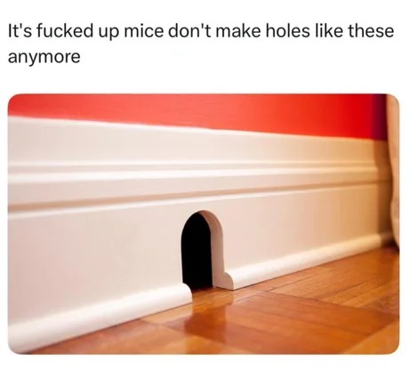 Mice don't make doors liket these anymore - meme