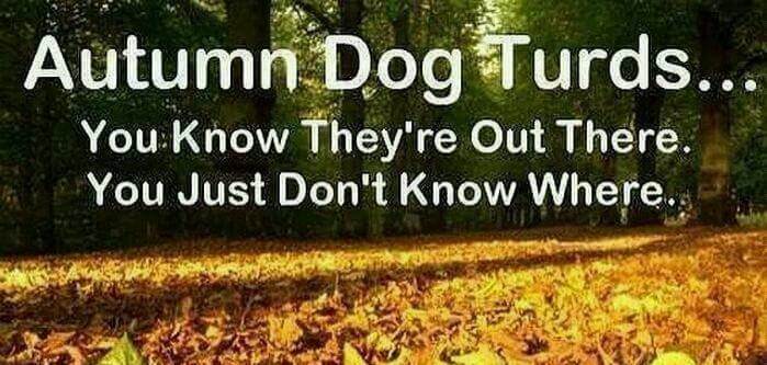 Dog turds!! - meme