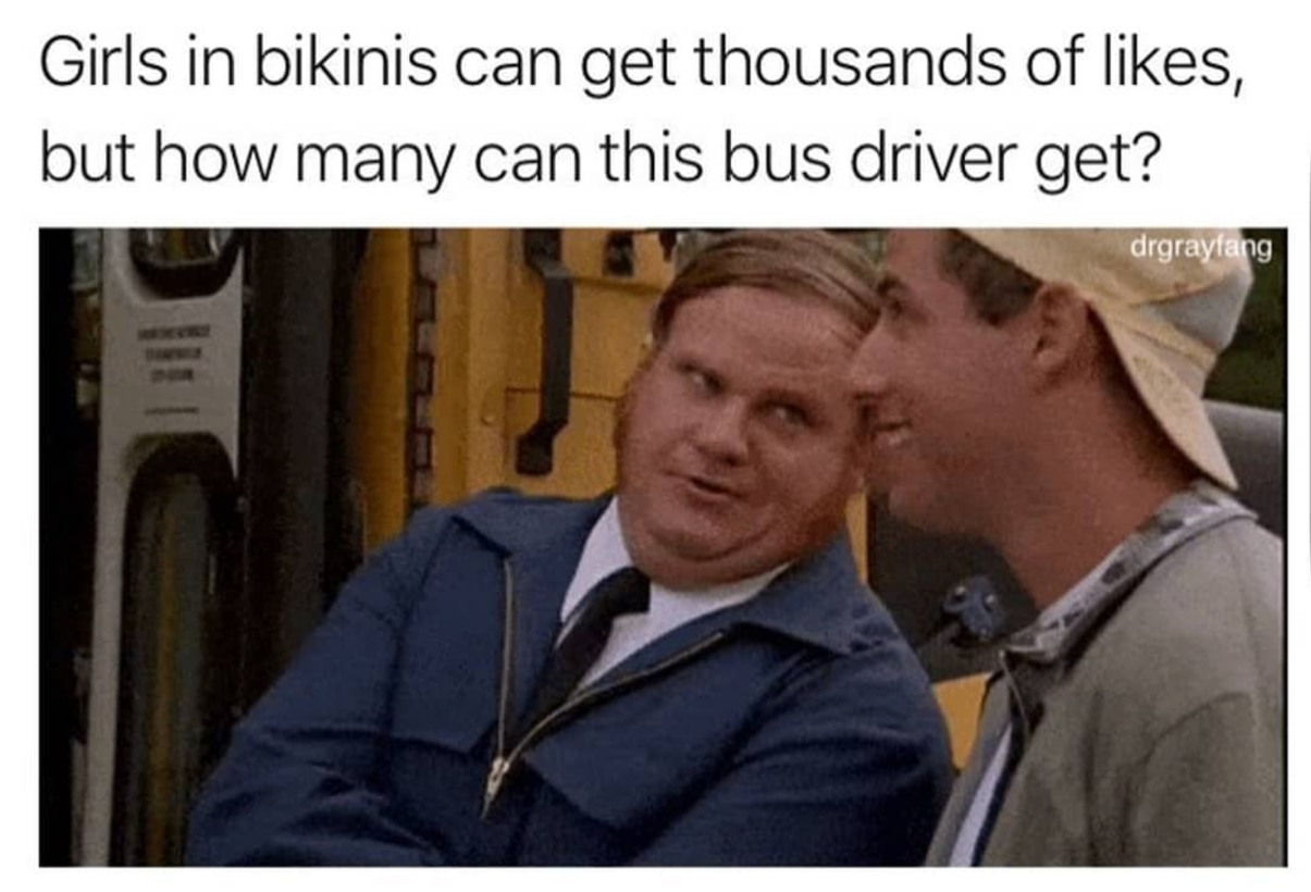 Dongs in a bus driver - meme