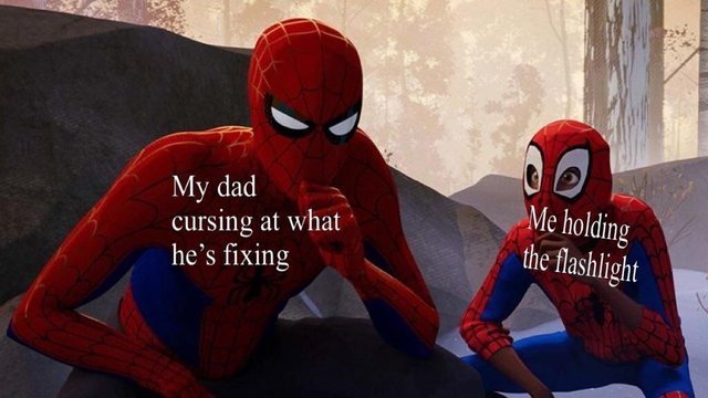 Learning how to fix things with dad - meme