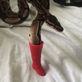 Snake in a boot