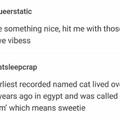 What are your pets names?
