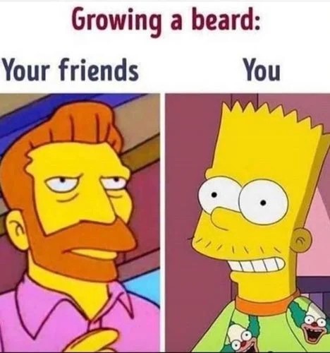crescendo uma barba - meme