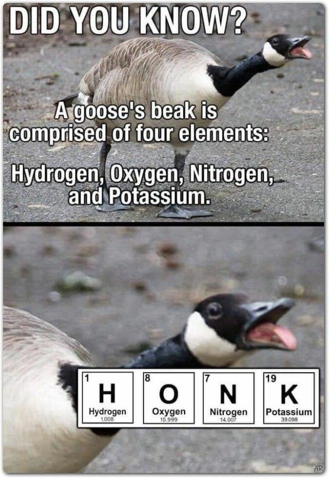 Scientific honk - meme