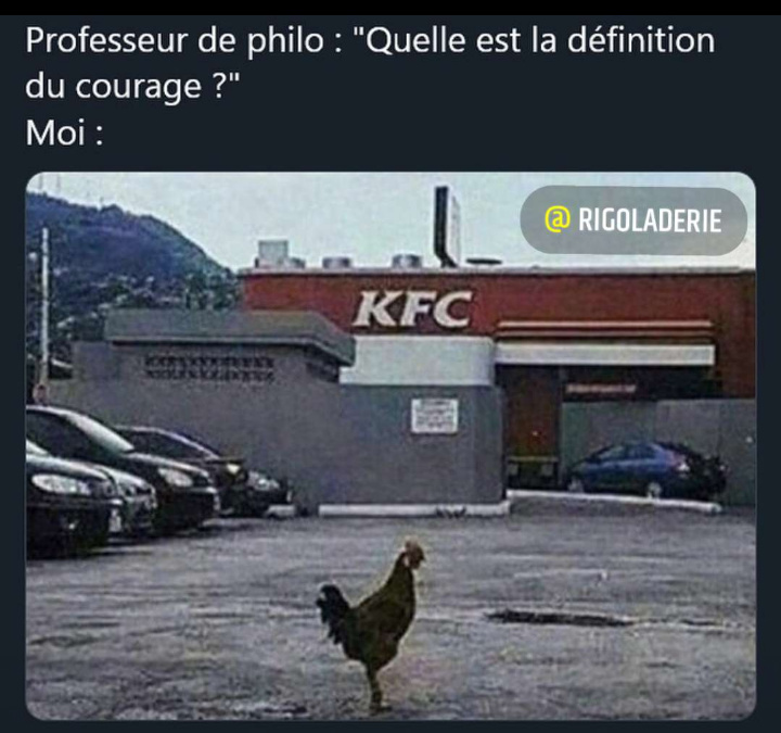 Poulet KFC courageux - meme