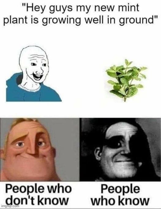 mint Meme by HailToTheMemeKing ) Memedroid