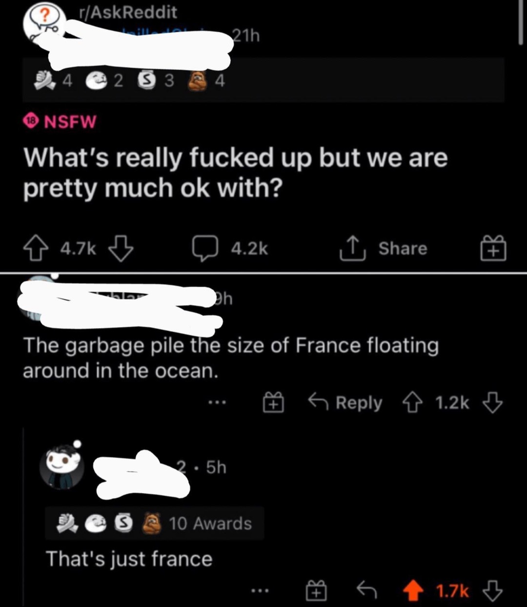 There's a garbage pile the size of France and yeah that's just France - meme