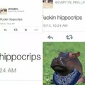 Don't you hate hippocrips