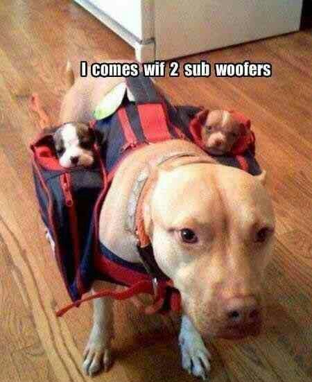 3rd comment gets two sub woofers - meme