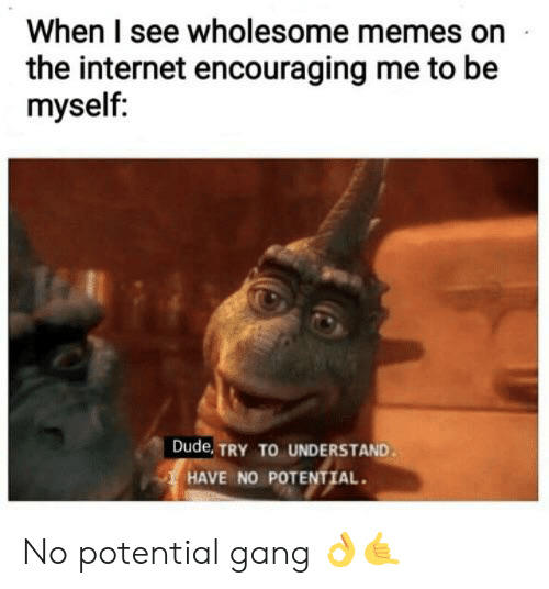 I don’t have potential - meme