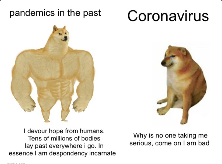 no I’m not one of the idiots saying that coronavirus is nothing to worry about - meme