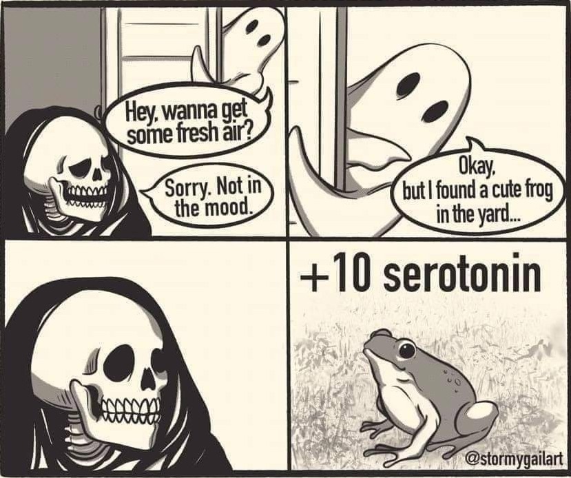 Don't forget about your serotonin gauge - meme