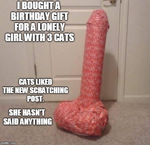 Birthday gift for the girl with 3 cats - meme