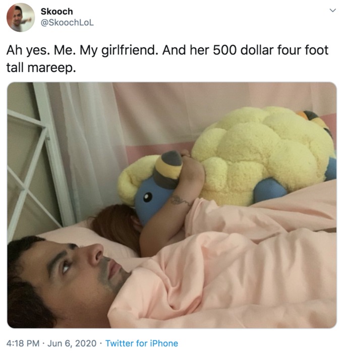 500 dollar four foot fall Mareep - meme