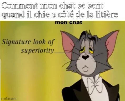 La qualité a été ressenti - meme