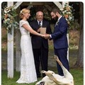 Best wedding photo