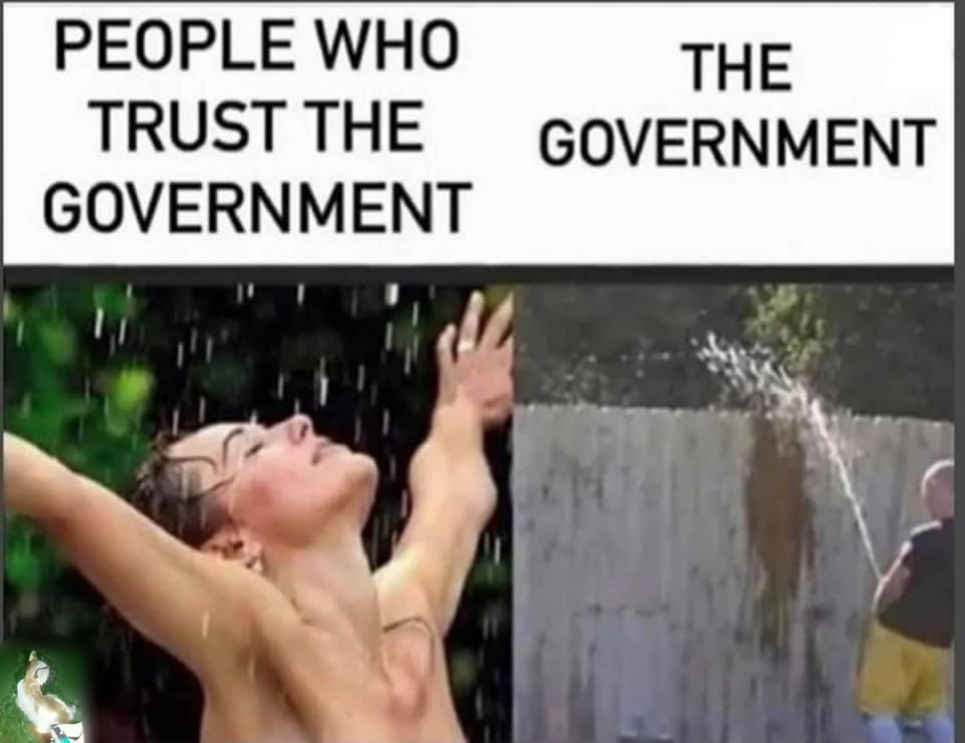 Tim Hawkins - The Government - meme