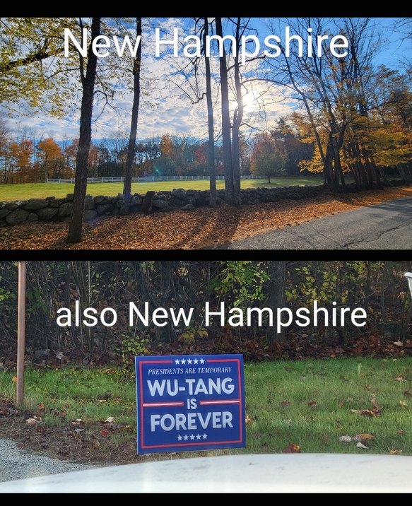 Current political climate is fall weather - meme