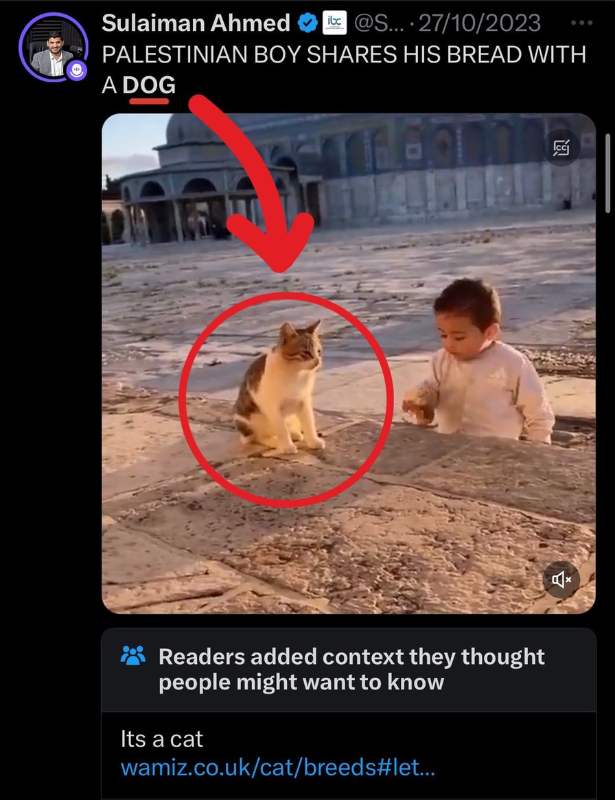 periodista confunde gato con perro - meme