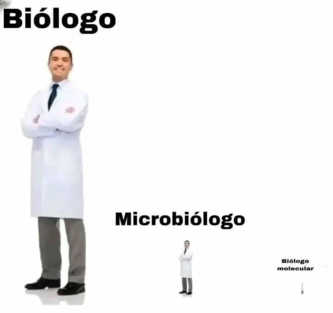 :v - meme