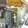 Animal crossing realista