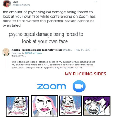 Guys, zoom is transphobic. - meme