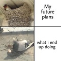Future plans