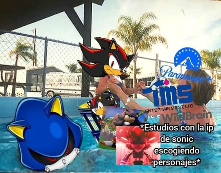 Sale mejor cambiar a metal Sonic por Shadow en sonic 3 - meme
