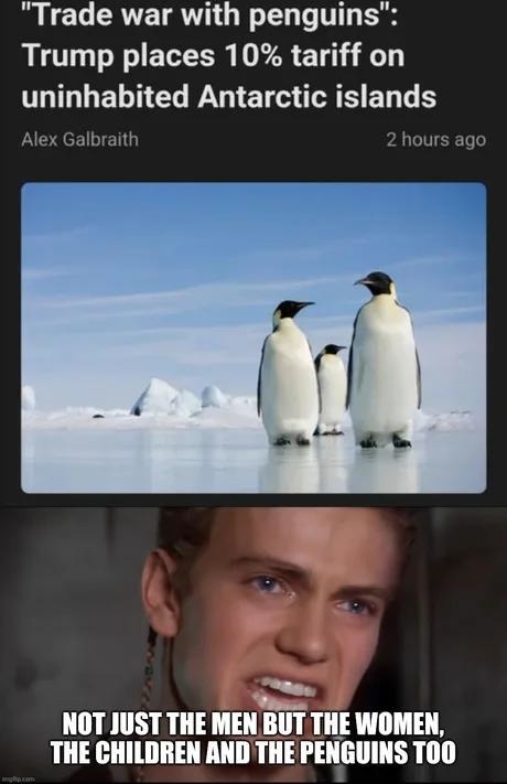 Trump declares trade war on penguins and I'm losing it - meme