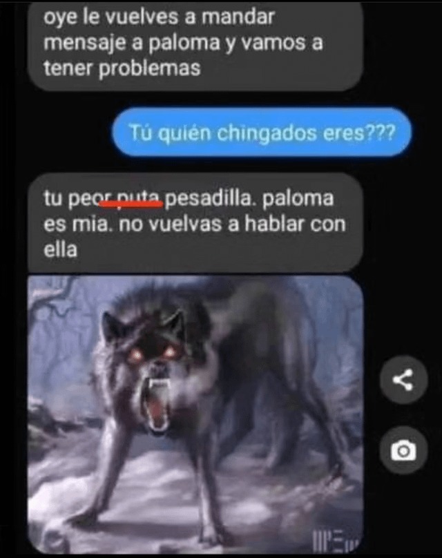 Top memes de Lobo en español :) Memedroid