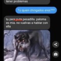 Meme de lobo en una conversación