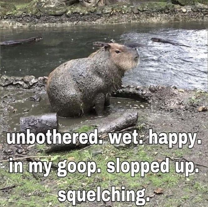 Capybara Ok I Pull Up Meme - YouTube