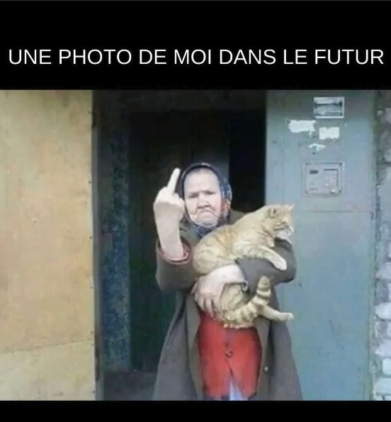 Moi dans le chat - meme