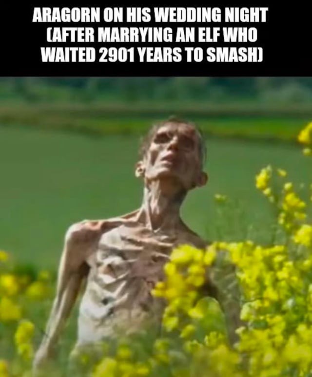Aragorn on his wedding night - meme
