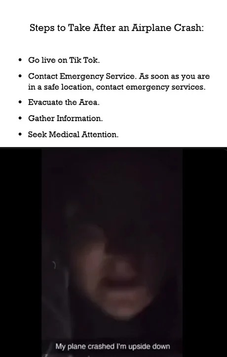 Steps to take after an airplane crash - meme