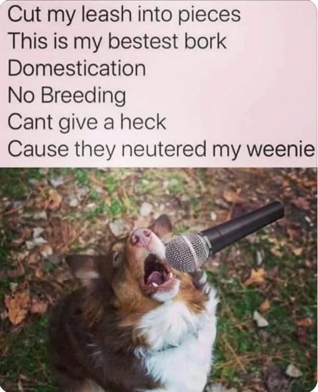 neutered my weenie, can’t give a heck, still a good boy - meme